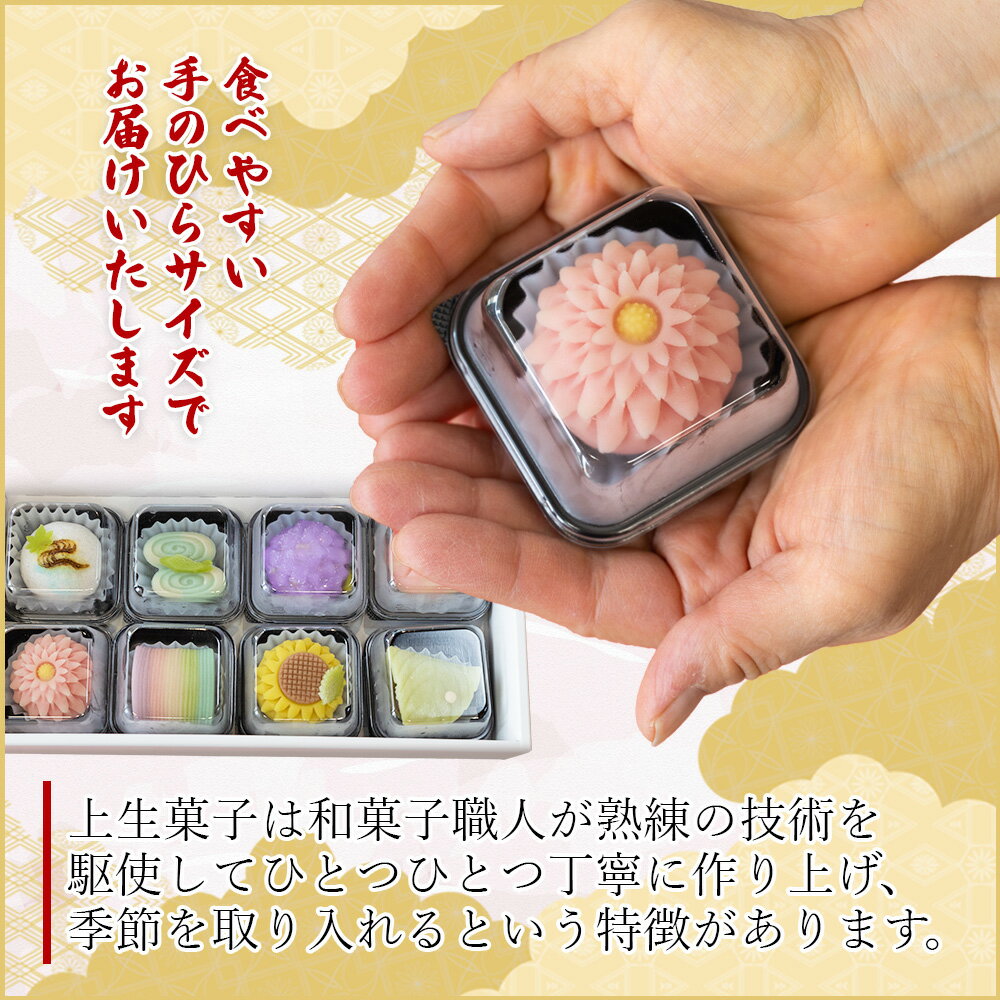 【ふるさと納税】上生菓子 和菓子 8個入り - 送料無料 ギフト お祝い のし 熨斗 武市神栄堂 お菓子 和スイーツ おやつ プレゼント 贈り物 お取り寄せ 詰め合わせ 詰め合せ ご褒美 ごほうび 高知県 香南市 レビューキャンペーン実施中 ゆずあんぱん風おまんじゅうをお届け サムネイル3