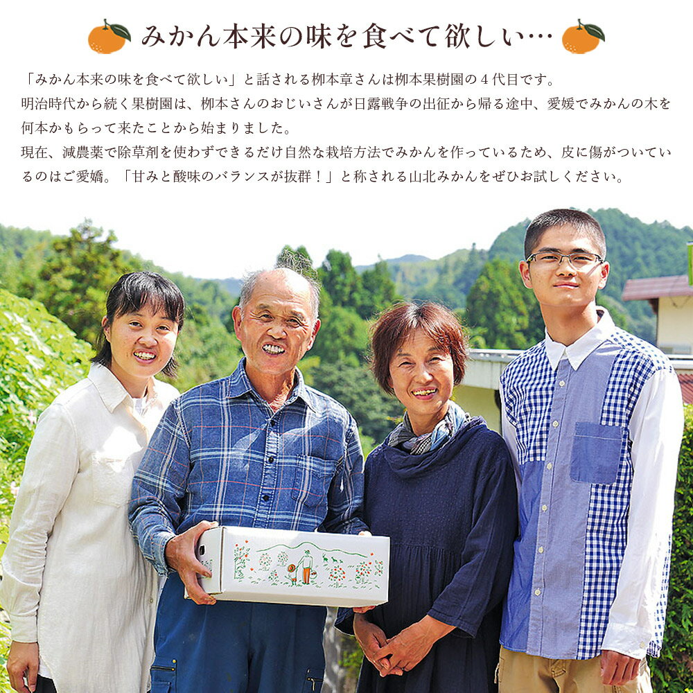 【ふるさと納税】【令和7年発送】柳本果樹園の山北みかん 約3kg（露地・2S〜Mサイズ）- 果物 フルーツ 柑橘類 温州みかん ミカン 蜜柑 甘い おいしい 送料無料 のし 贈り物 冬 期間限定 季節限定 数量限定 2025年出荷 高知県 香南市 yg-0006 サムネイル3