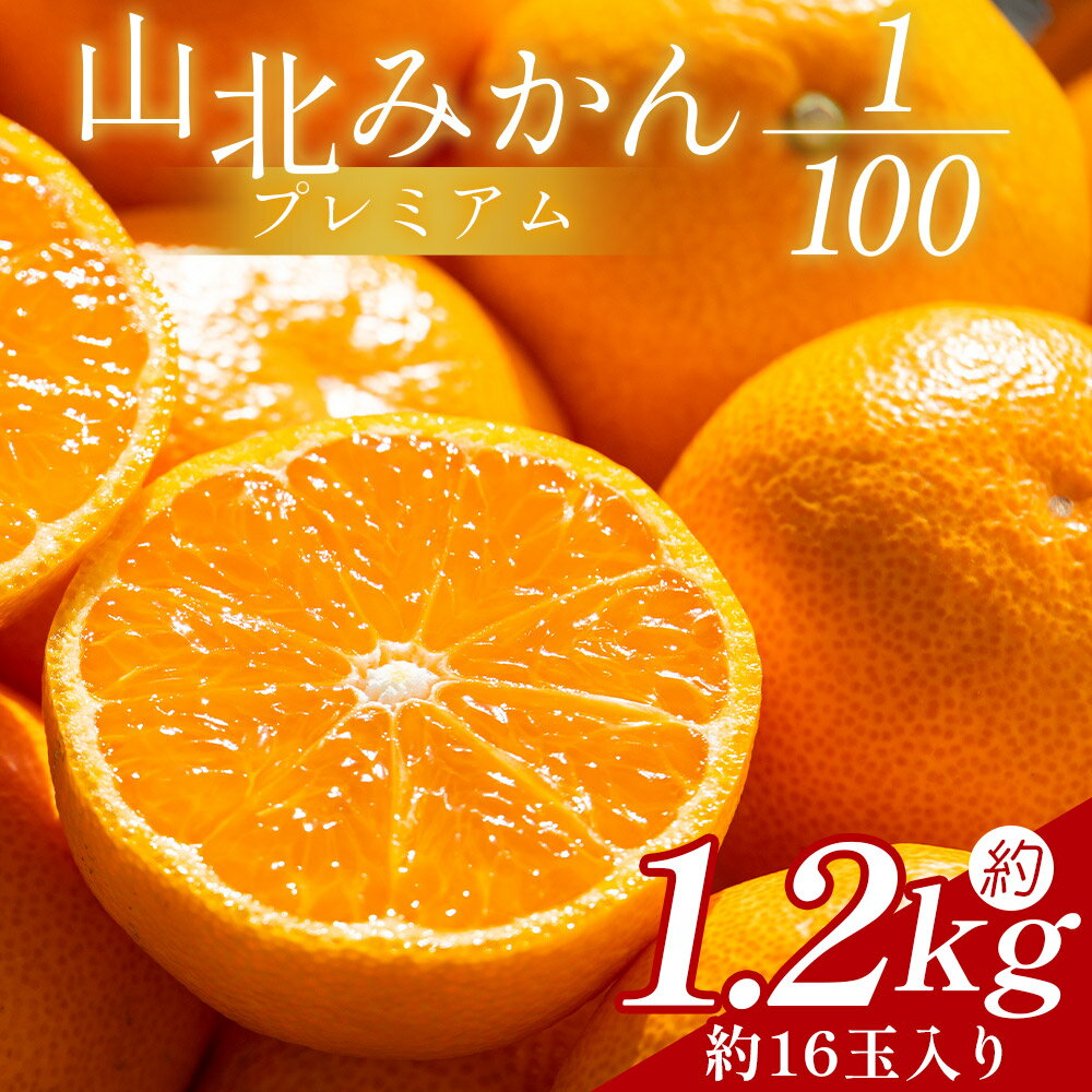 山北プレミアムみかん 1/100(サイズ：S) 1.2kg 約16玉入り - 国産 柑橘 柑橘類 果実 果物 フルーツ 青果 温州みかん みかん 蜜柑 ミカン 高知県 香南市 10,000円以上 10000円以上 1万円以上 【常温】yk-0056