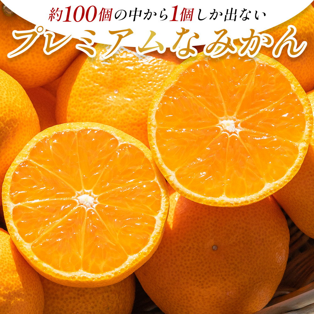 【ふるさと納税】山北プレミアムみかん 1/100(サイズ：S) 1.2kg 約16玉入り - 国産 柑橘 柑橘類 果実 果物 フルーツ 青果 温州みかん みかん 蜜柑 ミカン 高知県 香南市 10,000円以上 10000円以上 1万円以上 【常温】yk-0056 サムネイル2