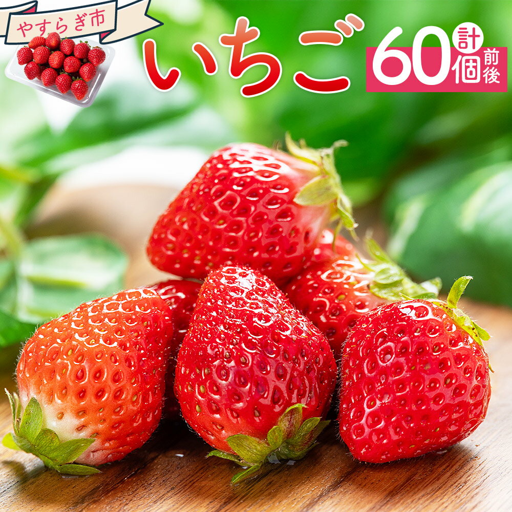 いちご 4パック（各パック15〜18個） 計60個程度 - いちご イチゴ 苺 ストロベリー 青果 果物 採れたて 新鮮 フルーツ あまえくぼ さちのか 紅ほっぺ べにほっぺ やすらぎ市 高知県 香南市【冷蔵】 yr-0054
