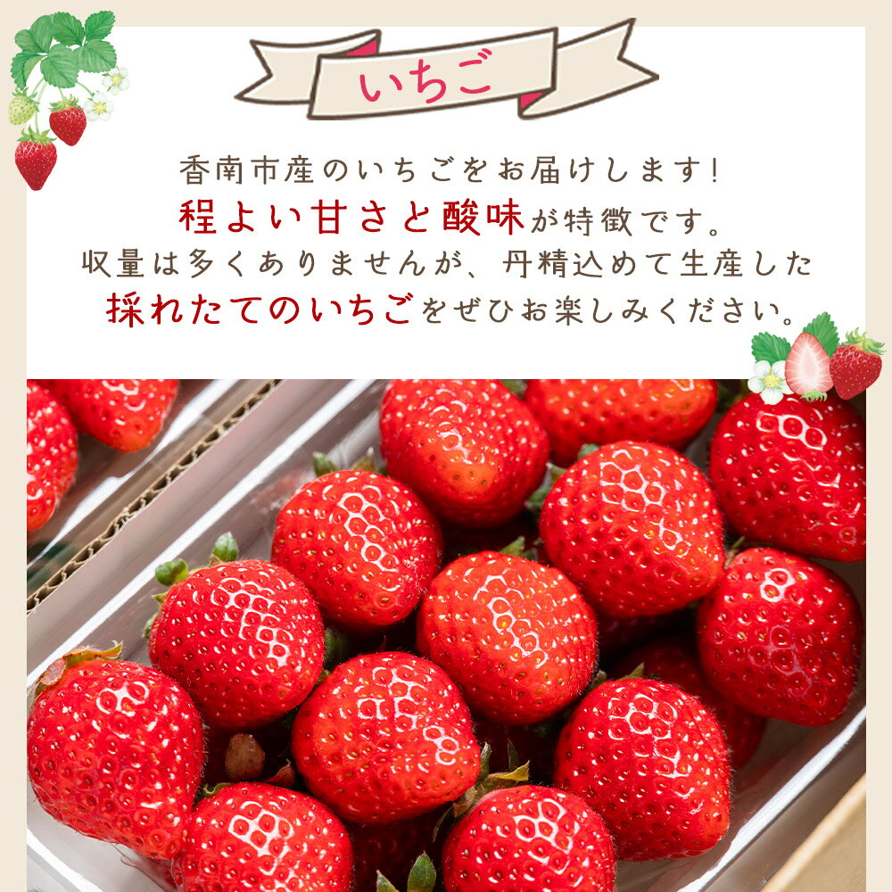【ふるさと納税】いちご 4パック（各パック15〜18個） 計60個程度 - いちご イチゴ 苺 ストロベリー 青果 果物 採れたて 新鮮 フルーツ あまえくぼ さちのか 紅ほっぺ べにほっぺ やすらぎ市 高知県 香南市【冷蔵】 yr-0054 サムネイル2