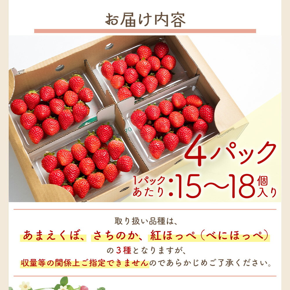 【ふるさと納税】いちご 4パック（各パック15〜18個） 計60個程度 - いちご イチゴ 苺 ストロベリー 青果 果物 採れたて 新鮮 フルーツ あまえくぼ さちのか 紅ほっぺ べにほっぺ やすらぎ市 高知県 香南市【冷蔵】 yr-0054 サムネイル3
