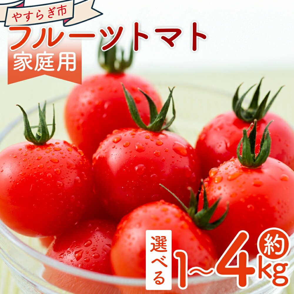 【2026年1月以降発送】【選べる内容量】フルーツトマト (1kg/2kg/3kg/4kg) 家庭用 - 選べる 数量 国産 青果 野菜 トマト 訳あり ご家庭用 甘い 酸味 不揃い 傷 やすらぎ市 高知県 香南市【冷蔵】 Ryr-0090
