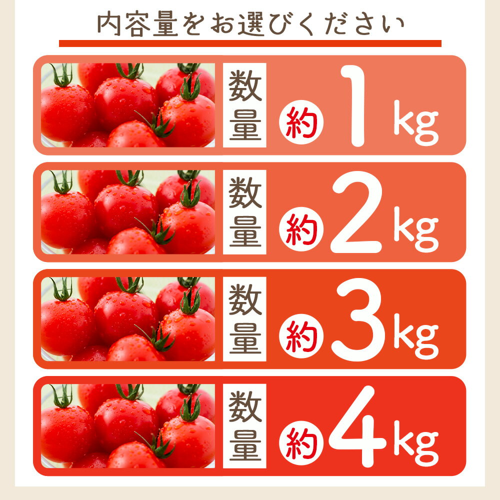 【ふるさと納税】【2026年1月以降発送】【選べる内容量】フルーツトマト (1kg/2kg/3kg/4kg) 家庭用 - 選べる 数量 国産 青果 野菜 トマト 訳あり ご家庭用 甘い 酸味 不揃い 傷 やすらぎ市 高知県 香南市【冷蔵】 Ryr-0090 - 画像3