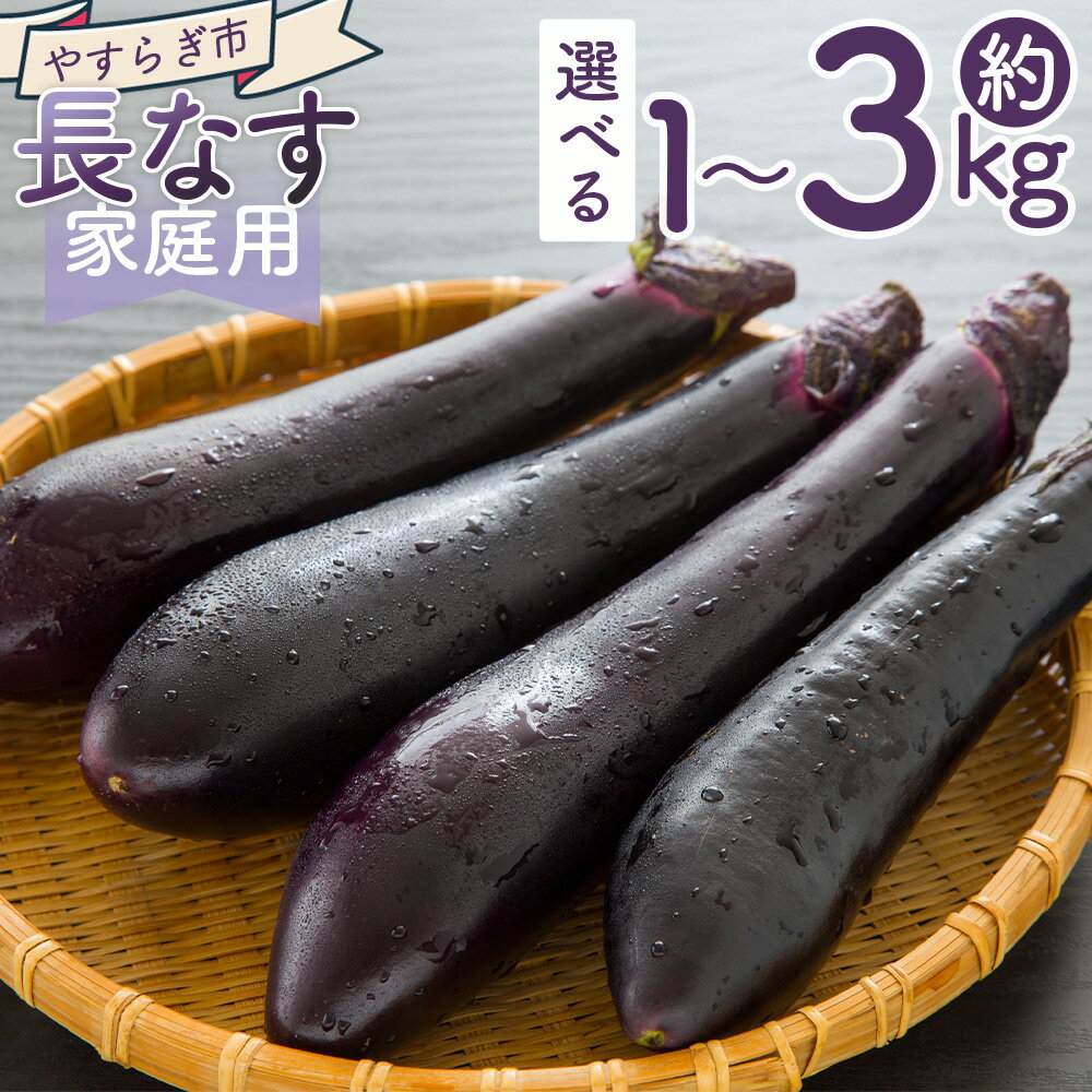 【2025年10月中旬以降発送】【選べる数量】長なす (1kg/2kg/3kg) 家庭用 - 選べる 数量 国産 茄子 なすび 野菜 青果 肉厚 煮物 漬物 焼きなす 麻婆 訳あり ご家庭用 不揃い 傷 やすらぎ市 高知県 香南市【常温】 yr-0070