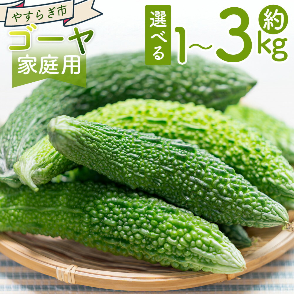 【2025年10月以降発送】【選べる数量】ゴーヤ (1kg/2kg/3kg) 家庭用 - 選べる 数量 国産 野菜 青果 ごうや 苦瓜 天ぷら 炒め物 ご家庭用 不揃い 傷 やすらぎ市 高知県 香南市【冷蔵】 Ryr-0092