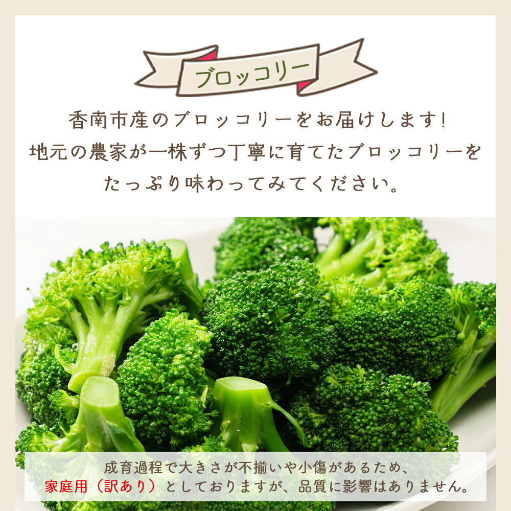 【ふるさと納税】【2025年11月末以降発送】【選べる内容量】ブロッコリー（約1/2kg） 家庭用 - 選べる 数量 国産 野菜 緑黄色野菜 青果 サラダ グラタン ご家庭用 不揃い 傷 やすらぎ市 高知県 香南市【冷蔵】 Ryr-0096 - 画像2