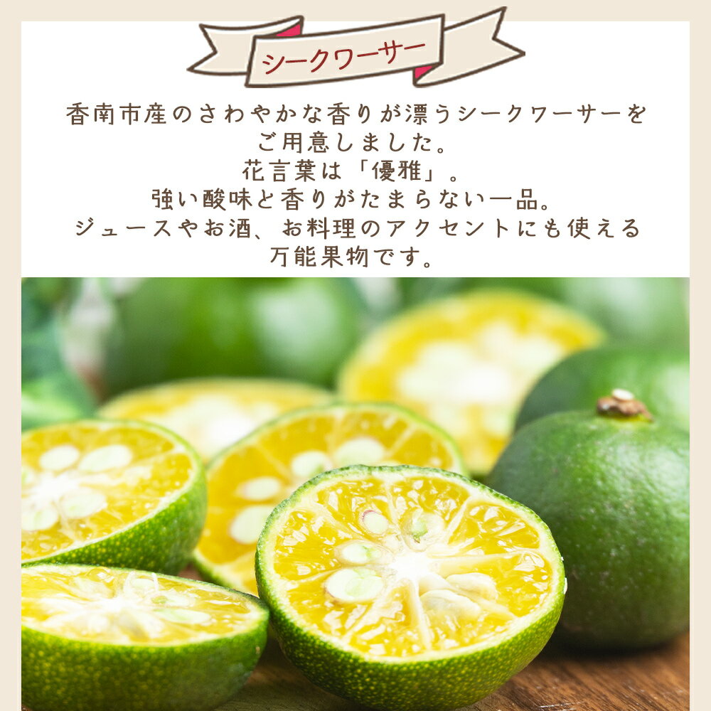 【ふるさと納税】【選べる数量】【先行受付】さわやかな香り漂うシークワーサー（約1kg/2kg/3kg） - 選べる 内容量 国産 シークヮーサー 果物 フルーツ 果実 青果 柑橘 ヒラミレモン ジュース 酒 やすらぎ市 高知県 香南市【常温】【2026年10月～11月上旬までに発送】 サムネイル2