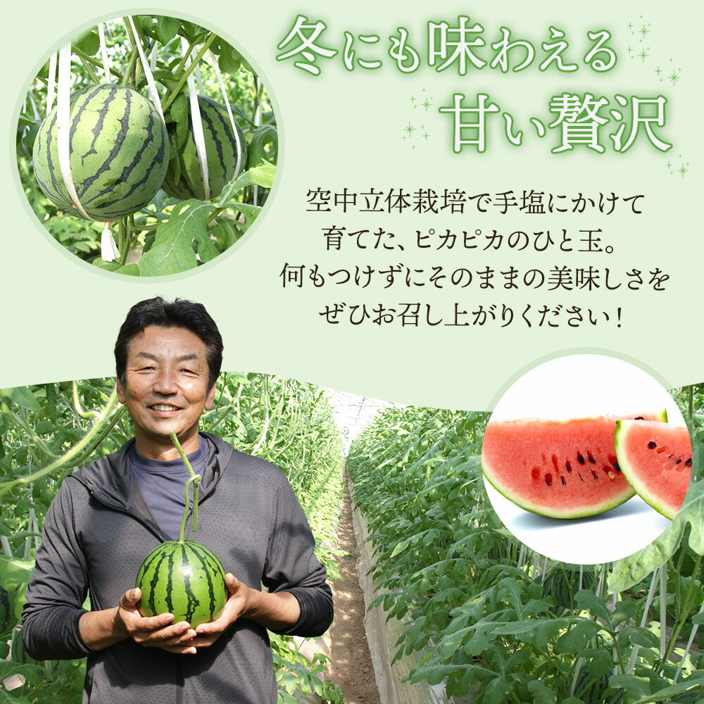 【ふるさと納税】【先行予約】【選べる数量】ルナ・ピエナスイカ 中玉 -「今夜はナゾトレ」に取り上げられました すいか 果物 くだもの フルーツ 赤肉 赤玉 1個 2個 ジューシー 甘い 贈答用 ギフト お祝い 高知県 香南市 レビューキャンペーン ゆずあんぱん風おまんじゅう サムネイル3