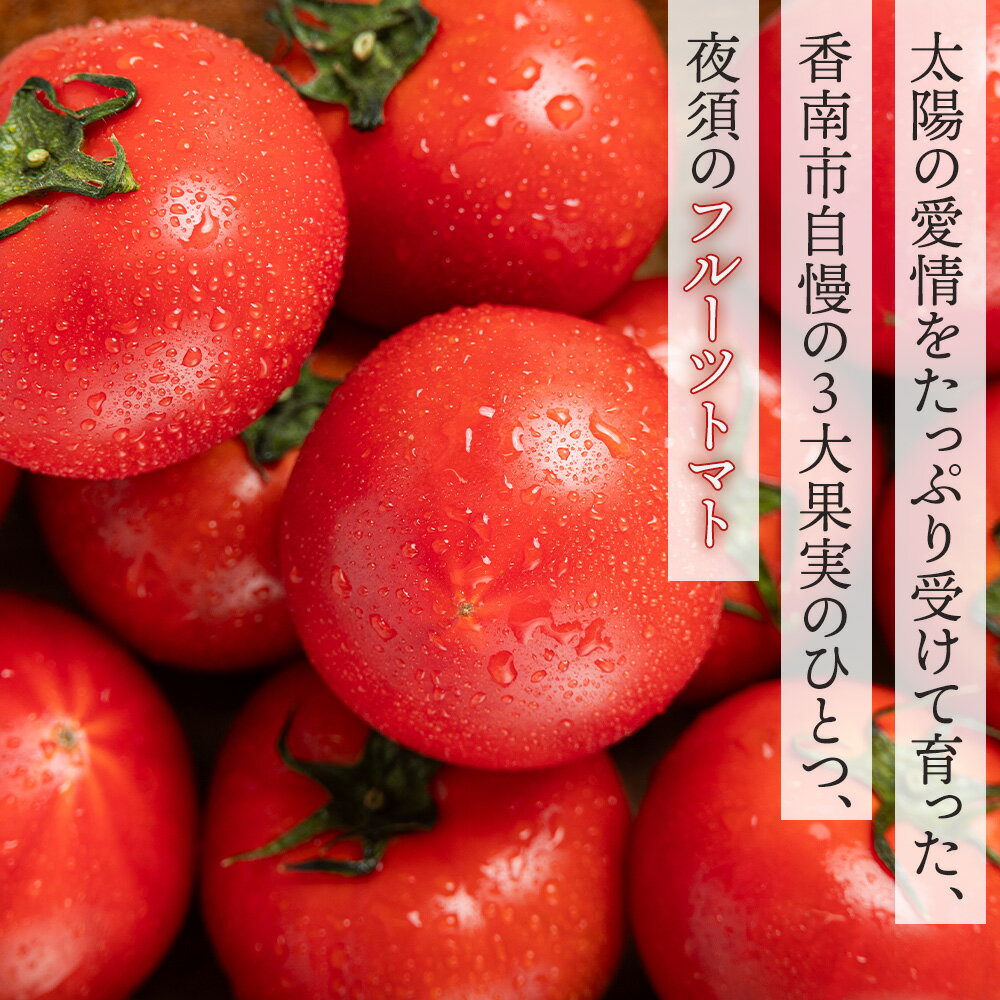 【ふるさと納税】【選べる】【2026年出荷分 先行予約受付】夜須のフルーツトマト 約2kg～10kg 定期便 2/3回 【旅サラダに取り上げられました！】 とまと 完熟 甘い サラダ 新鮮 産地直送 箱 高知県 香南市 ギフト トマトジュース トマトスープ ダイエット ヘルシー リコピン - 画像3