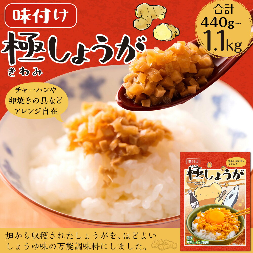 【ふるさと納税】＜選べる内容量＞味付け極みしょうが 計440g（110g×4袋）・計1.1kg（110g×10袋） 生姜 ショウガ しょうが 万能調味料 香美市 高知県 送料無料 サムネイル2