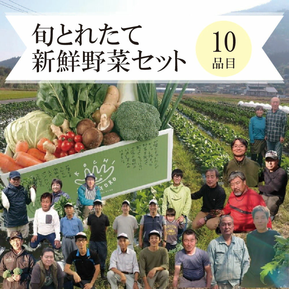 旬の採れたて新鮮野菜セット10品目「新鮮だから美味しい！」 野菜 やさい 新鮮 産地直送 お取り寄せ 詰め合わせ 高知県 香美市 送料無料