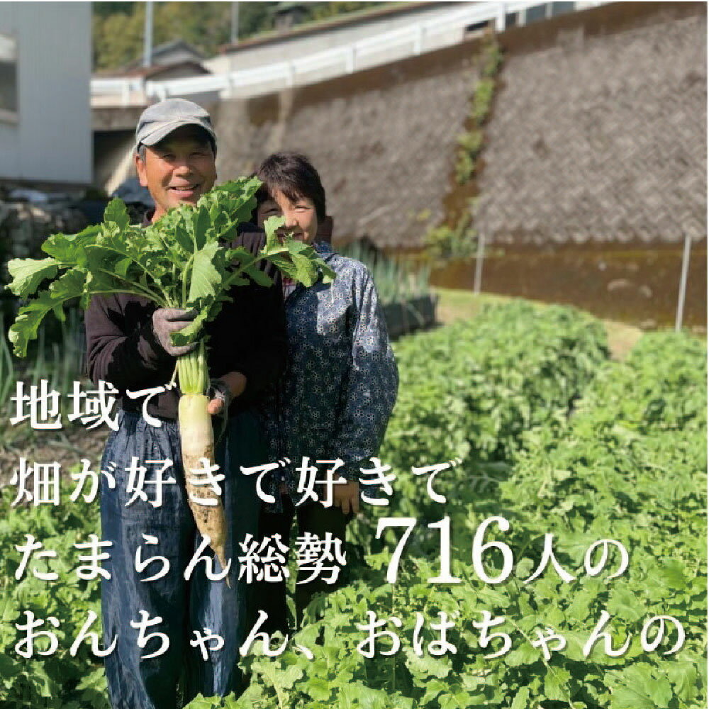 【ふるさと納税】「定期便」野菜詰め合わせセット6ヵ月 - 画像2