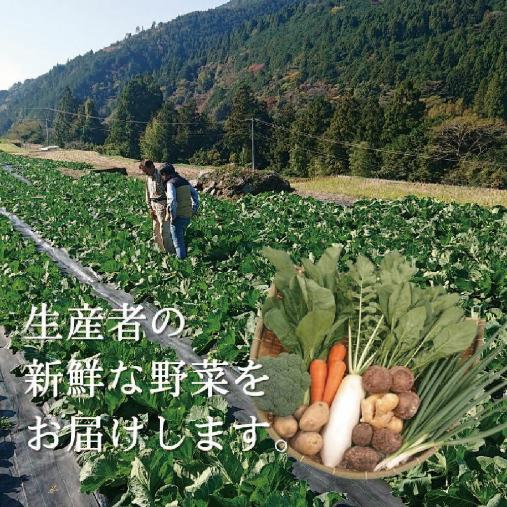 【ふるさと納税】「定期便」野菜詰め合わせセット6ヵ月 - 画像3