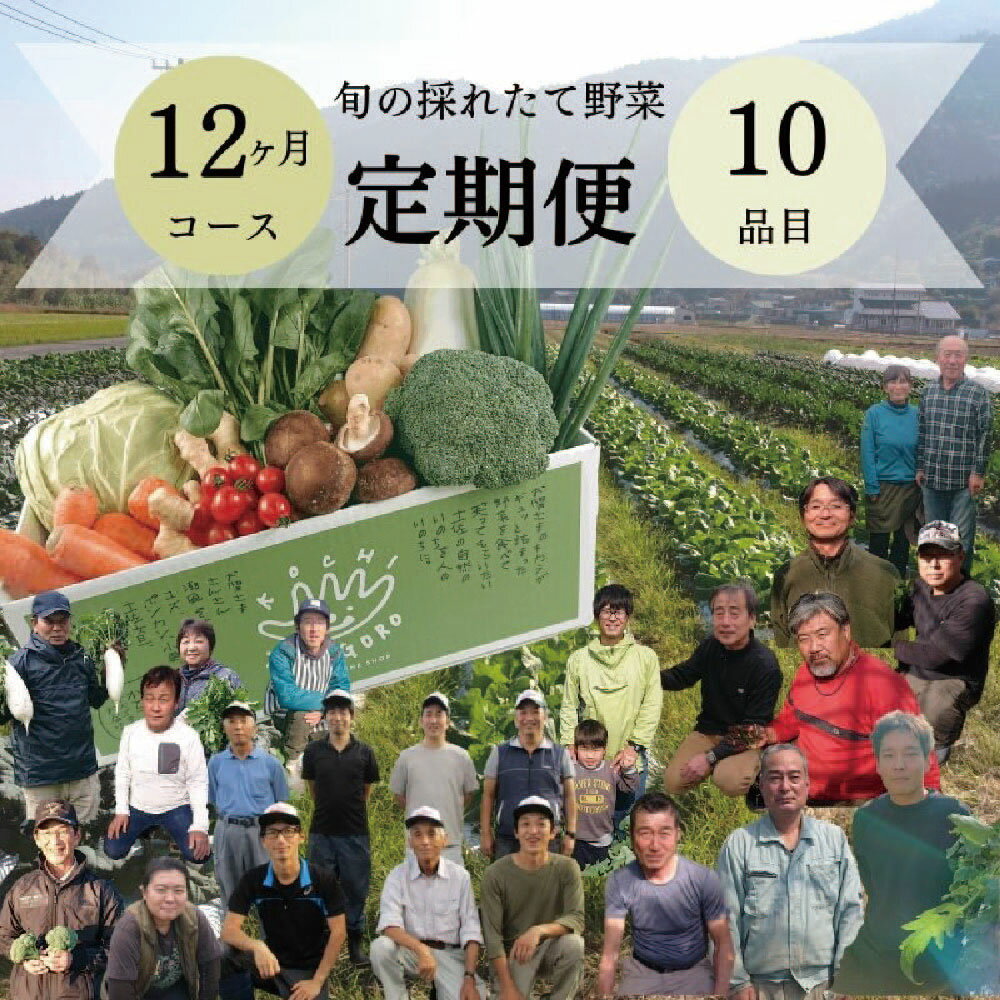 「定期便」野菜詰め合わせセット12ヵ月 野菜 やさい 新鮮 産地直送 お取り寄せ 詰め合わせ 高知県 香美市 送料無料