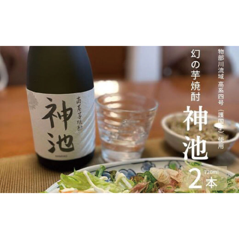 高系芋焼酎 神池 25度 720ml 2本入