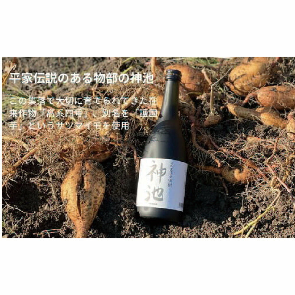 【ふるさと納税】高系芋焼酎 神池 25度 720ml 2本入 サムネイル2