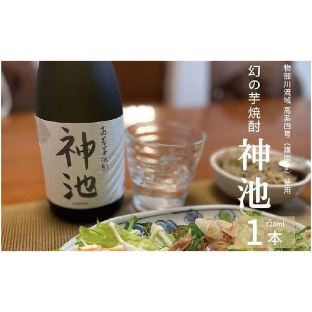 高系芋焼酎 神池 25度 720ml お酒 酒 アルコール 芋焼酎 お取り寄せ 高知県 香美市 送料無料