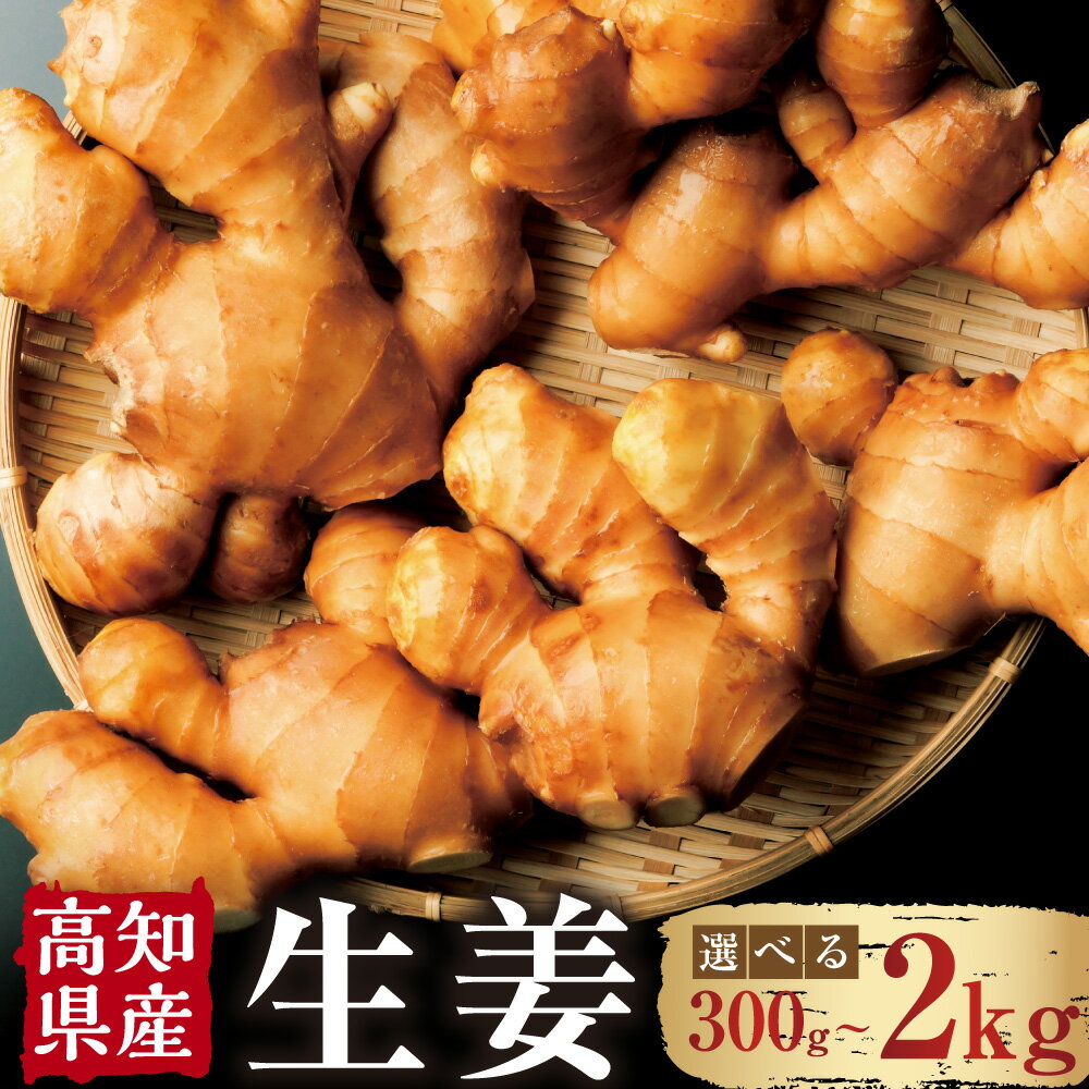 【選べる容量】高知県産 生姜 300g 1kg 2kg 生姜 ショウガ しょうが ジンジャー 野菜 薬味 産地直送 お取り寄せ 高知県 香美市 送料無料