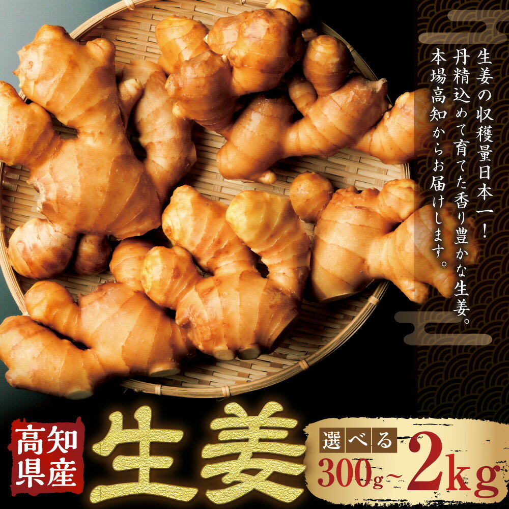 【ふるさと納税】【選べる容量】高知県産 生姜 300g 1kg 2kg 生姜 ショウガ しょうが ジンジャー 野菜 薬味 産地直送 お取り寄せ 高知県 香美市 送料無料 - 画像2