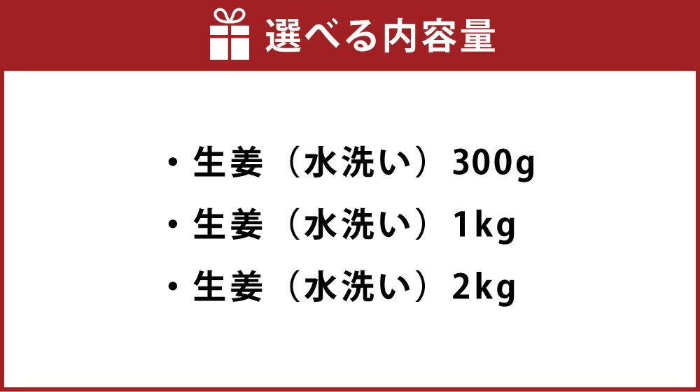 【ふるさと納税】【選べる容量】高知県産 生姜 300g 1kg 2kg 生姜 ショウガ しょうが ジンジャー 野菜 薬味 産地直送 お取り寄せ 高知県 香美市 送料無料 - 画像3