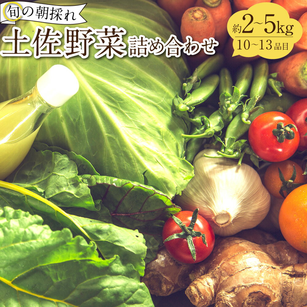 旬の朝採れ土佐野菜詰め合わせ（10～13品目）野菜 お野菜 旬 季節の野菜セット 新鮮 安心安全 産地直送 詰め合わせ やさい 自然 自然派 お取り寄せ 高知県 香美市 送料無料