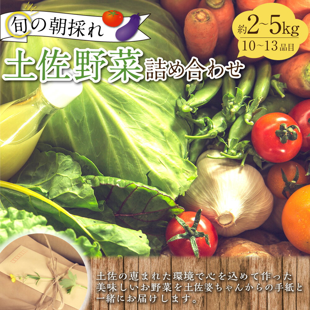 【ふるさと納税】旬の朝採れ土佐野菜詰め合わせ（10～13品目）野菜 お野菜 旬 季節の野菜セット 新鮮 安心安全 産地直送 詰め合わせ やさい 自然 自然派 お取り寄せ 高知県 香美市 送料無料 - 画像2