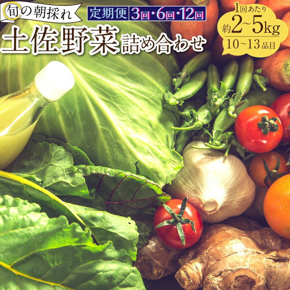 ＜選べる定期便＞旬の朝採れ土佐野菜詰め合わせ 1回（10～13品目）3回 6回 12回 野菜 お野菜 旬 季節の野菜セット 新鮮 安心安全 産地直送 詰め合わせ やさい 自然 自然派 お取り寄せ 高知県 香美市 送料無料