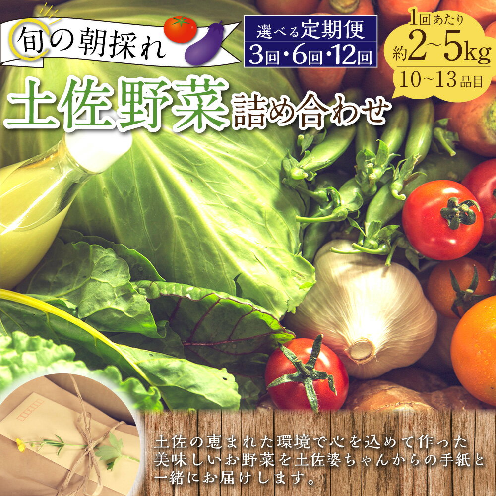 【ふるさと納税】＜選べる定期便＞旬の朝採れ土佐野菜詰め合わせ 1回（10～13品目）3回 6回 12回 野菜 お野菜 旬 季節の野菜セット 新鮮 安心安全 産地直送 詰め合わせ やさい 自然 自然派 お取り寄せ 高知県 香美市 送料無料 - 画像2