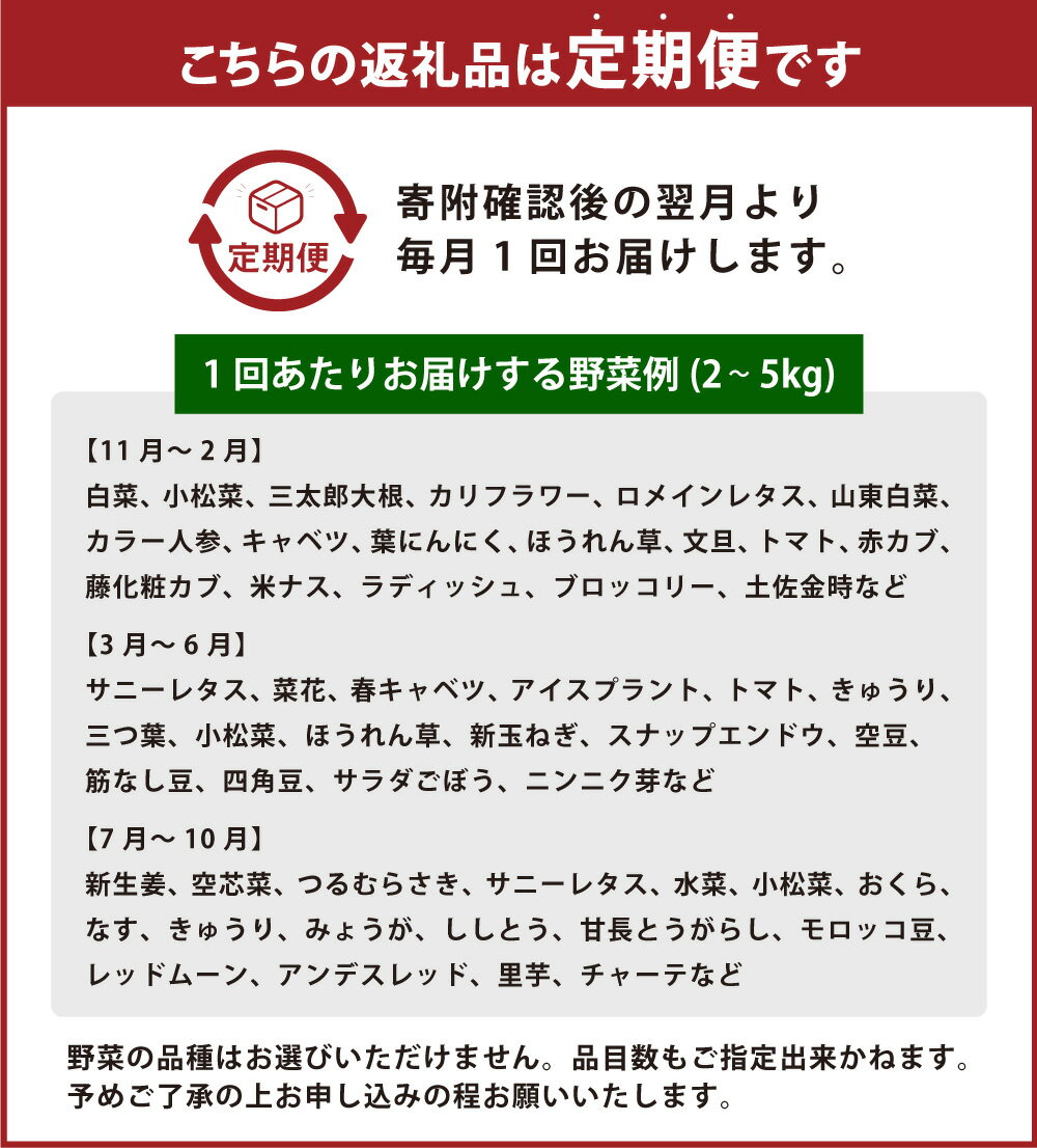 【ふるさと納税】＜選べる定期便＞旬の朝採れ土佐野菜詰め合わせ 1回（10～13品目）3回 6回 12回 野菜 お野菜 旬 季節の野菜セット 新鮮 安心安全 産地直送 詰め合わせ やさい 自然 自然派 お取り寄せ 高知県 香美市 送料無料 - 画像3
