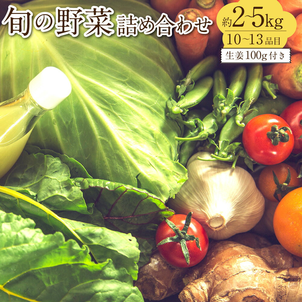 旬の野菜の詰め合わせと栽培期間中 農薬不使用の生姜100g付き 野菜 お野菜 旬 季節の野菜セット 新鮮 安心安全 産地直送 詰め合わせ やさい 自然 自然派 お取り寄せ 高知県 香美市 送料無料