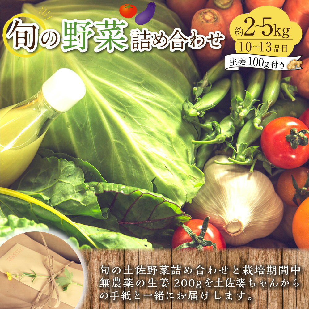 【ふるさと納税】旬の野菜の詰め合わせと栽培期間中 農薬不使用の生姜100g付き 野菜 お野菜 旬 季節の野菜セット 新鮮 安心安全 産地直送 詰め合わせ やさい 自然 自然派 お取り寄せ 高知県 香美市 送料無料 - 画像2