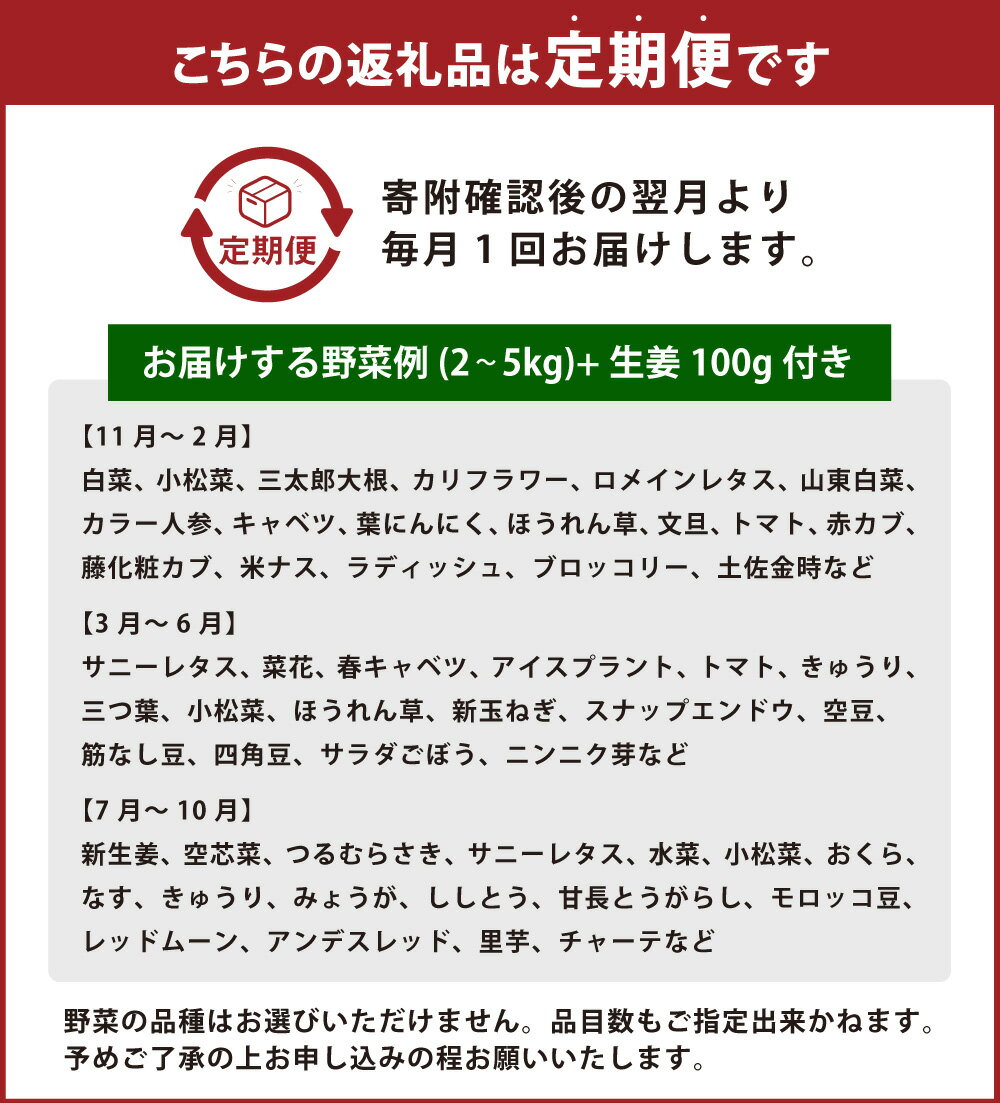 【ふるさと納税】旬の野菜の詰め合わせと栽培期間中 農薬不使用の生姜100g付き 野菜 お野菜 旬 季節の野菜セット 新鮮 安心安全 産地直送 詰め合わせ やさい 自然 自然派 お取り寄せ 高知県 香美市 送料無料 - 画像3