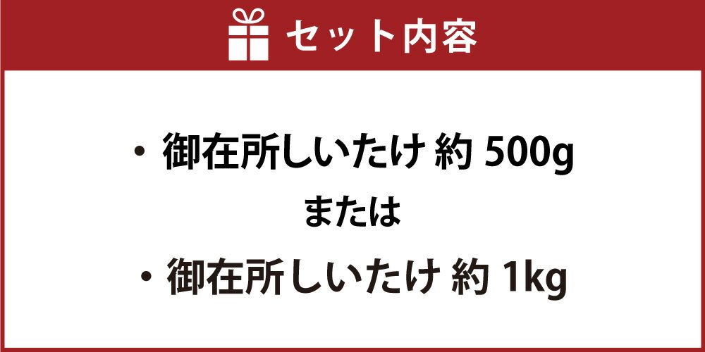 【ふるさと納税】＜選べる内容量＞御在所肉厚生しいたけ 約500g・約1kg 椎茸 シイタケ きのこ キノコ 茸 野菜 冷蔵 高知県 香美市 送料無料 サムネイル3