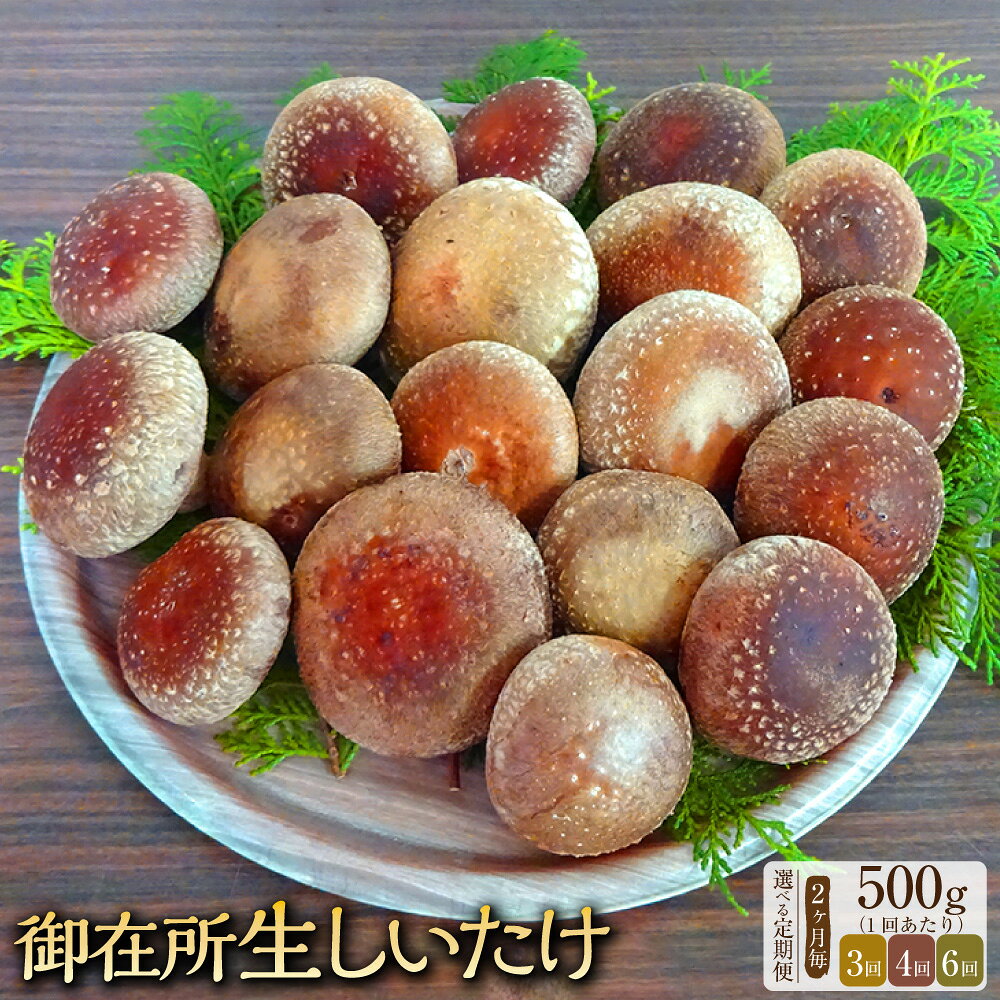 ＜選べる定期便＞【2ヶ月毎】【3回・4回・6回定期便】御在所肉厚生しいたけ 1回あたり 約500g 椎茸 シイタケ きのこ キノコ 茸 野菜 冷蔵 高知県 香美市 送料無料