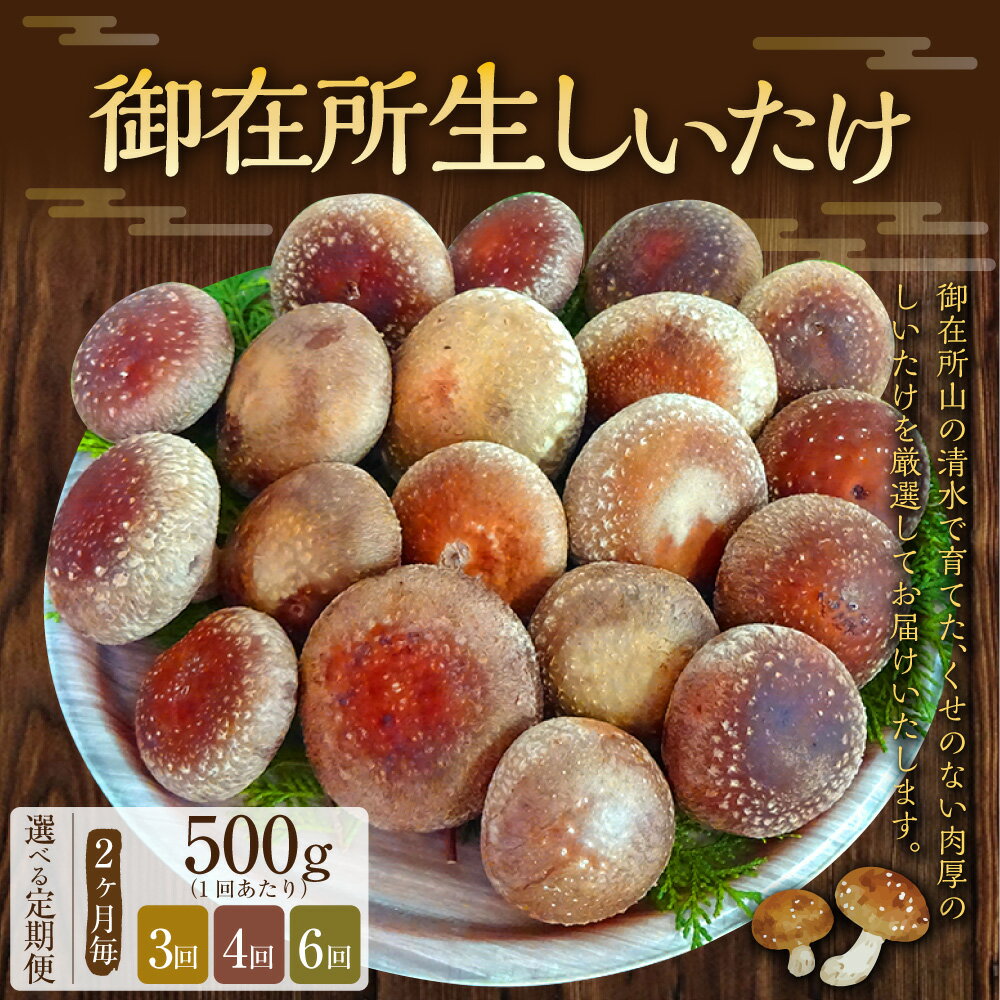 【ふるさと納税】＜選べる定期便＞【2ヶ月毎】【3回・4回・6回定期便】御在所肉厚生しいたけ 1回あたり 約500g 椎茸 シイタケ きのこ キノコ 茸 野菜 冷蔵 高知県 香美市 送料無料 - 画像2
