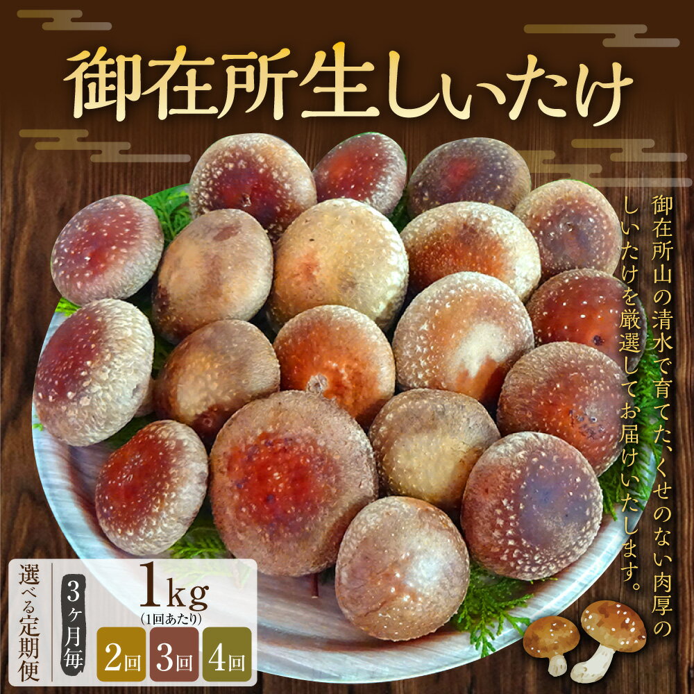 【ふるさと納税】＜選べる定期便＞【3ヶ月毎】【2回・3回・4回定期便】御在所肉厚生しいたけ 1回あたり 約1kg 椎茸 シイタケ きのこ キノコ 茸 野菜 冷蔵 高知県 香美市 送料無料 - 画像2