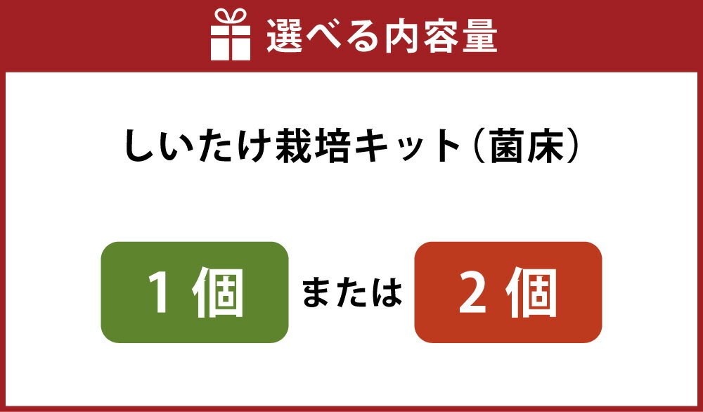 【ふるさと納税】しいたけ栽培キット （菌床ブロック 1個 ／ 2個） ＜選べる容量＞ 【2026年4月下旬迄発送予定】 1回200g以上収穫可能 達人なら3～4回ほど収穫 しいたけ シイタケ 椎茸 きのこ キノコ 茸 きのこ栽培 しいたけ栽培 高知県 香美市 送料無料 - 画像3