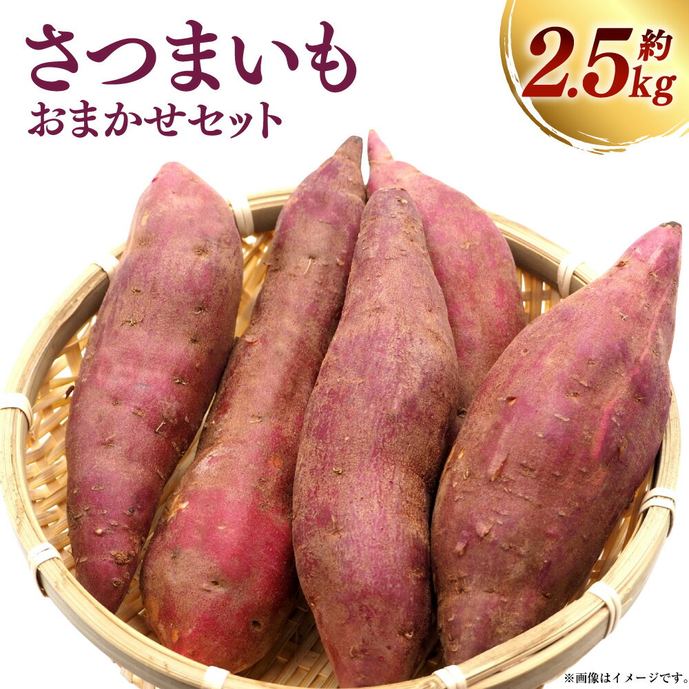 さつまいも おまかせセット 約2.5kg （紅はるか ／ 安納芋 ／ 紫芋） 【2026年12月上旬～2027年1月下旬迄順次発送予定】 いも イモ 芋 サツマイモ 食品 高知県 香美市 送料無料