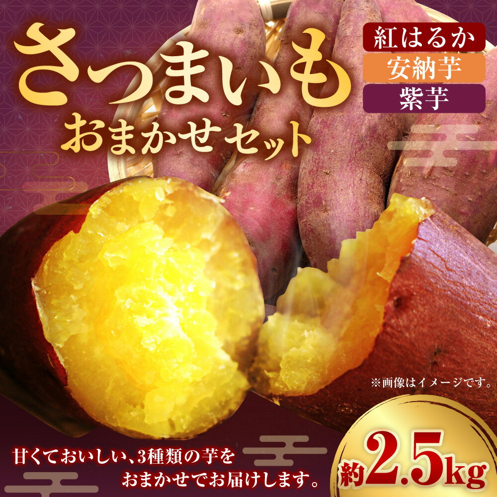 【ふるさと納税】さつまいも おまかせセット 約2.5kg （紅はるか ／ 安納芋 ／ 紫芋） 【2026年12月上旬～2027年1月下旬迄順次発送予定】 いも イモ 芋 サツマイモ 食品 高知県 香美市 送料無料 - 画像2