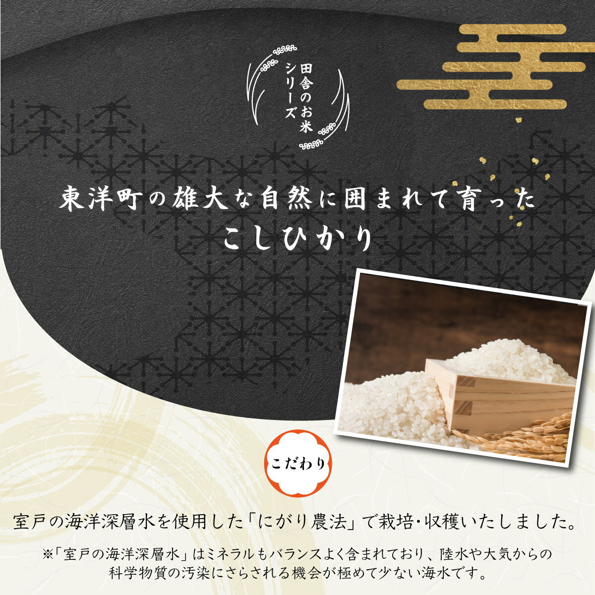 【ふるさと納税】＜2026年8月発送＞令和8年産コシヒカリ 20kg【S248】東洋町産 国産 米 白米 精米 コメ こめ もっちり 四国 お取り寄せ 家庭用 自宅用 贈り物 ギフト送料無料 - 画像2