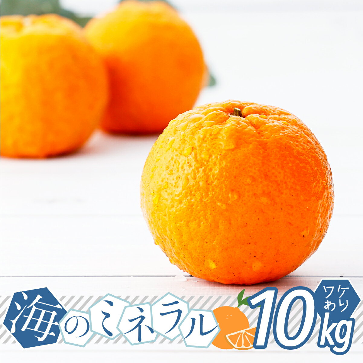 ＜先行予約＞ポンカン 海のミネラルをたっぷり含んだ甲浦のポンカン 10kg 訳あり 国産 東洋町産 訳アリ 甘い 栄養たっぷり ジューシー 果肉 四国 お取り寄せ フルーツ 蜜柑 ミカン 果物 家庭用 自宅用 送料無料 HG-04