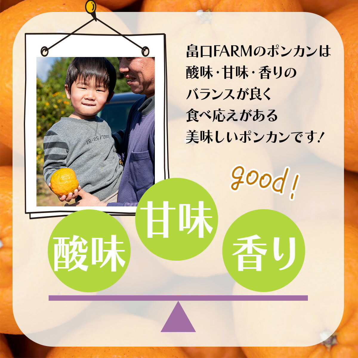 【ふるさと納税】＜先行予約＞贈答用ポンカン 5kg 国産 東洋町産 オレンジ 果物 フルーツ 蜜柑 ミカン 甘い 酸味 ジューシー 果肉 高知県 四国 お取り寄せ 贈り物 ギフト 送料無料 H-09 サムネイル2