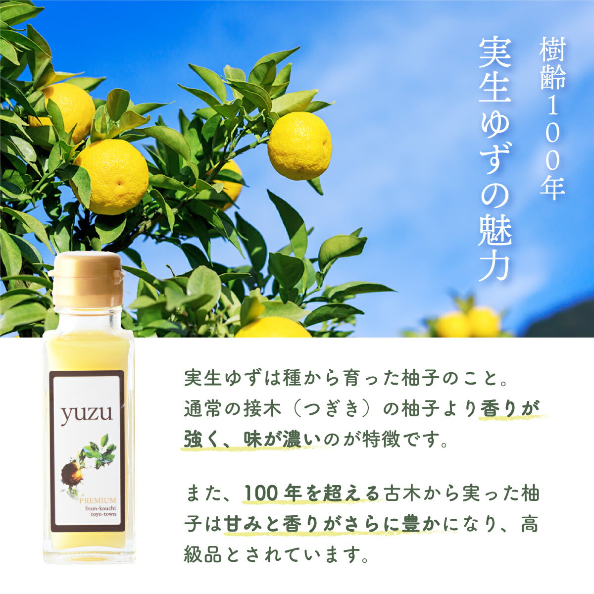 【ふるさと納税】100年ゆず果汁＜100ml×5本セット＞ 国産 東洋町産 果汁 100% 無添加 無農薬 無塩 ゆず ユズ ゆず酢 柚子酢 酢 万能 調味料 四国 家庭用 自宅用 贈答用 贈り物 ギフト 送料無料 S-07 サムネイル3