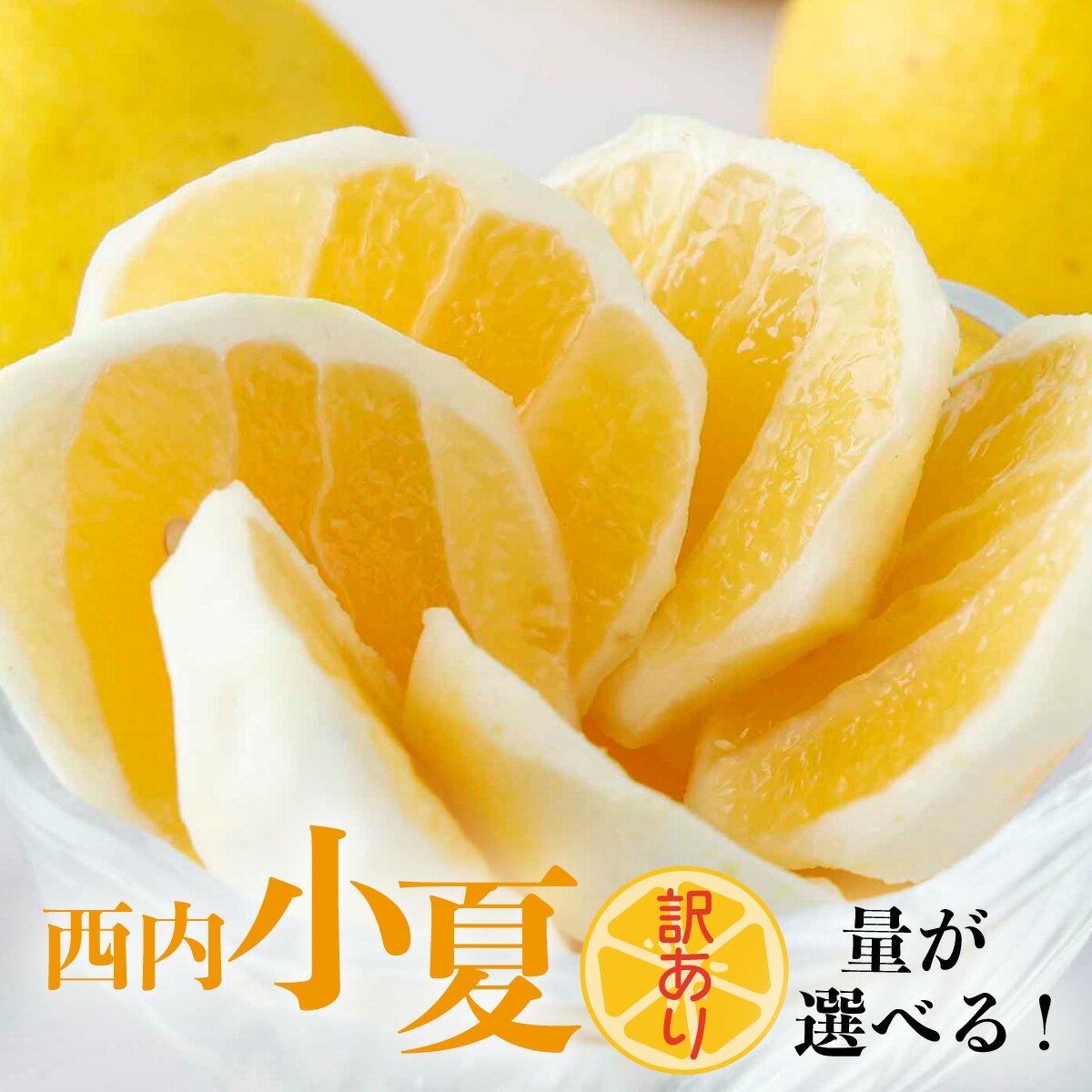 ＜先行予約＞ 量が選べる 【訳アリ】西内小夏　3・5・10kg　日向夏 ニューサマーオレンジ ジューシー 果肉 高知県 四国 お取り寄せ 家庭用 自宅用 NU-01-03