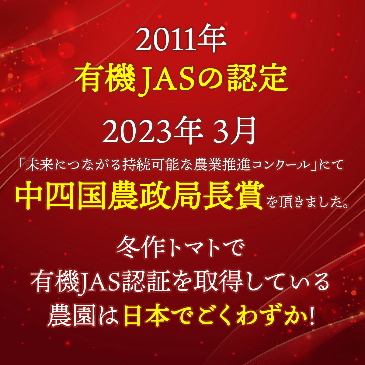 【ふるさと納税】先行予約 有機トマト ＜4kg箱＞ 東洋町産 とまと ジューシー 高知 四国 お取り寄せ 家庭用 自宅用 送料無料 人気トマト 定番 甘い 新鮮野菜 トマト 美味しい 野菜 厳選 新鮮 甘い トマト とまと 野菜 有機栽培IK-01-02 - 画像3