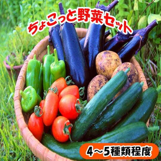 ちょこっと野菜セット お野菜 季節 野菜 旬 新鮮 産地直送 詰め合わせ やさい おいしい 自然 セット おまかせ 詰合せ 旬の野菜 お試し 4～5種類 少量/高知県奈半利町
