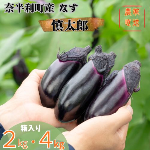 奈半利町の茄子 【慎太郎】（2kg or 4kg) ナス なす 産地直送 野菜 箱入り 新鮮 /高知県 奈半利町