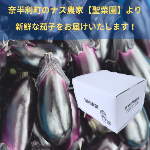 【ふるさと納税】奈半利町の茄子 【慎太郎】（2kg or 4kg) ナス なす 産地直送 野菜 箱入り 新鮮 /高知県 奈半利町 - 画像3